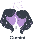 Gemini sign