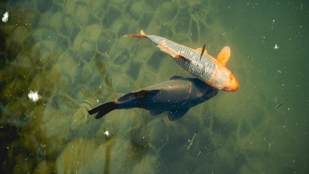 Dream Weaving with Saturn in Pisces for Spiritual Manifestation