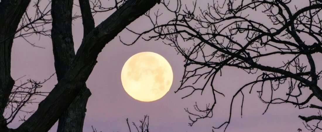 Aquarius Full Moon in Leo Embracing Your Inner Lion Amidst Innovation