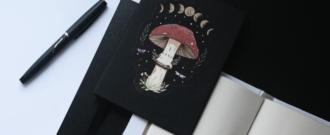 Best Moon Journals for Scorpio Shadow Work and Transformation