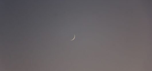 New Moon in Cancer 2026 Nurturing Your Soul and Security