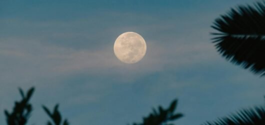 Evening Rituals for Emotional Release Tomorrow’s Scorpio Full Moon