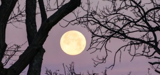Full Moon in Capricorn 2026 Career and Finance Guide