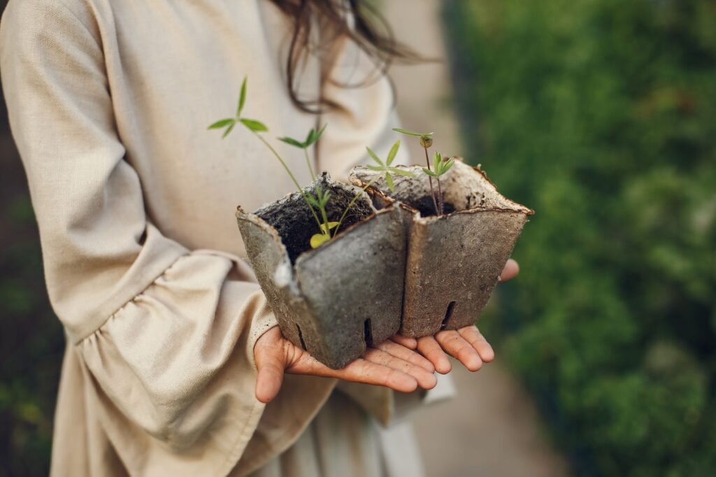 Nurturing Inner Peace a Waning Cancer Moon Ritual for Virgo Season