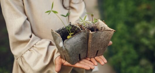 Nurturing Inner Peace a Waning Cancer Moon Ritual for Virgo Season