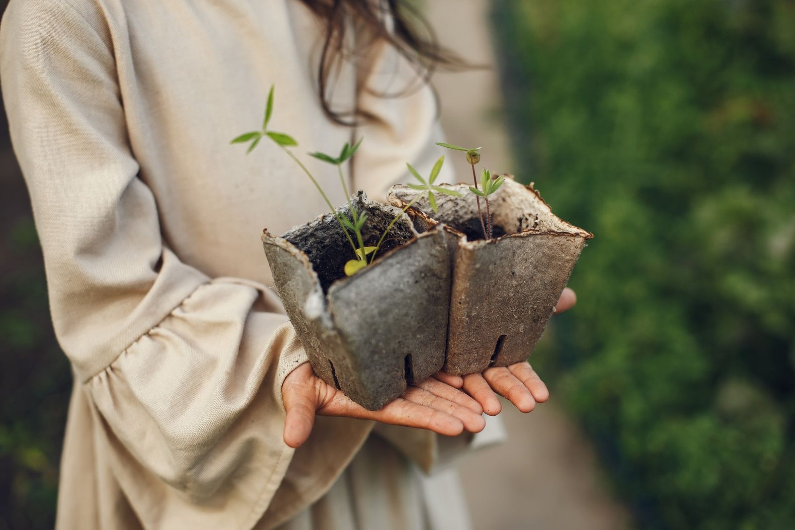 Nurturing Inner Peace a Waning Cancer Moon Ritual for Virgo Season
