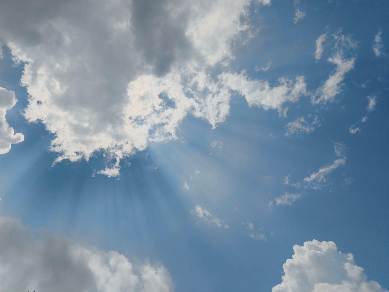 Welcome to Scorpio Season 2026 How the Sun’s Shift Transforms Every Zodiac Sign